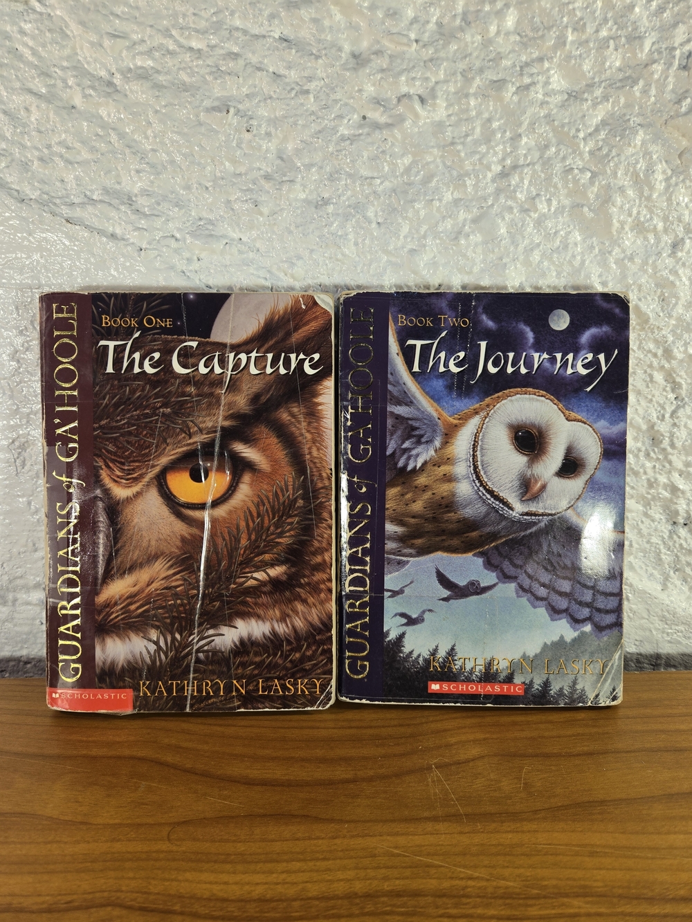 Lot of 2 Guardians of Ga'Hoole by Kathryn Lasky: Books #1-#2 Scholastic